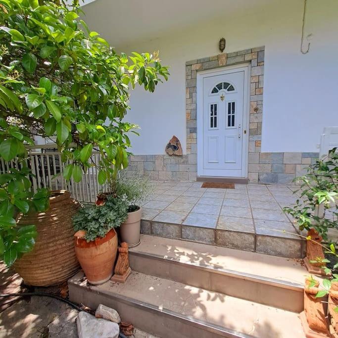 Appartamento 20' From The Airport,20' From The Center Of Atene Esterno foto