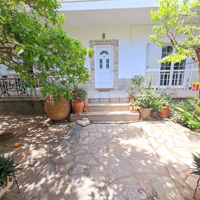 Appartamento 20' From The Airport,20' From The Center Of Atene Esterno foto